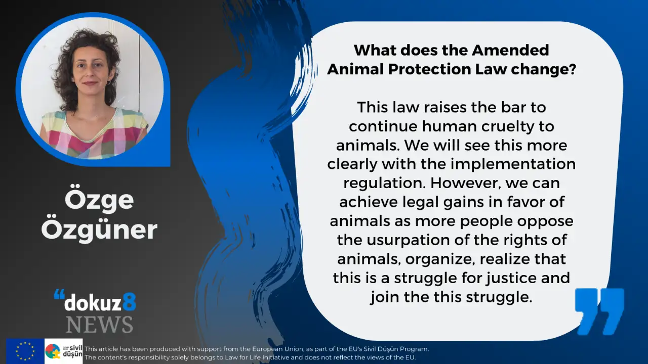What does the Amended Animal Protection Law change?