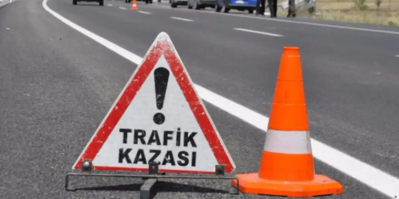 Bingöl'de yolcu otobüsünün devrilmesi sonucu 14 kişi yaralandı