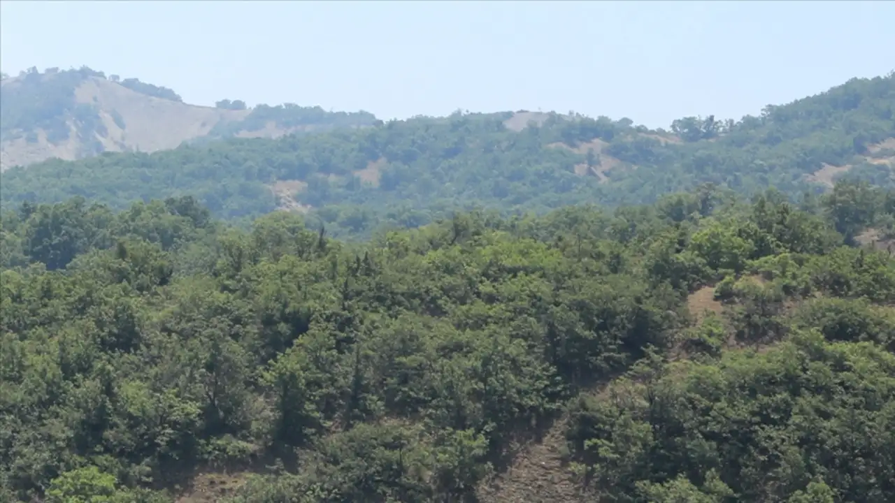 Kars'ta ormanlık alanlara girişler 15 Ekim'e kadar yasaklandı