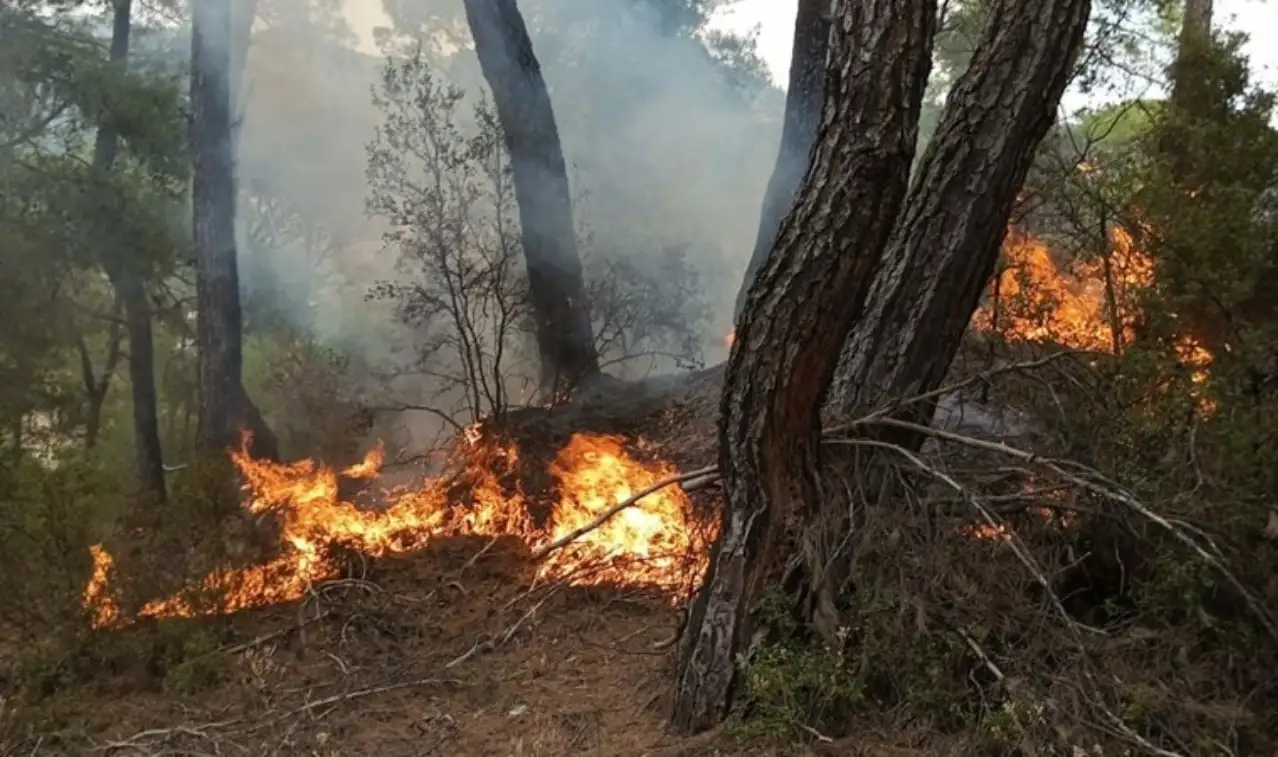 Karabük'te çıkan orman yangınına müdahale ediliyor
