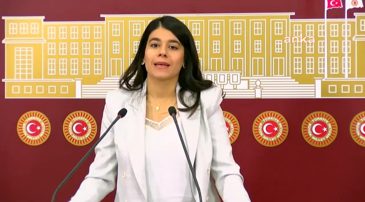 Beritan Güneş: Mardin göz göre göre ekolojik kırıma sürükleniyor
