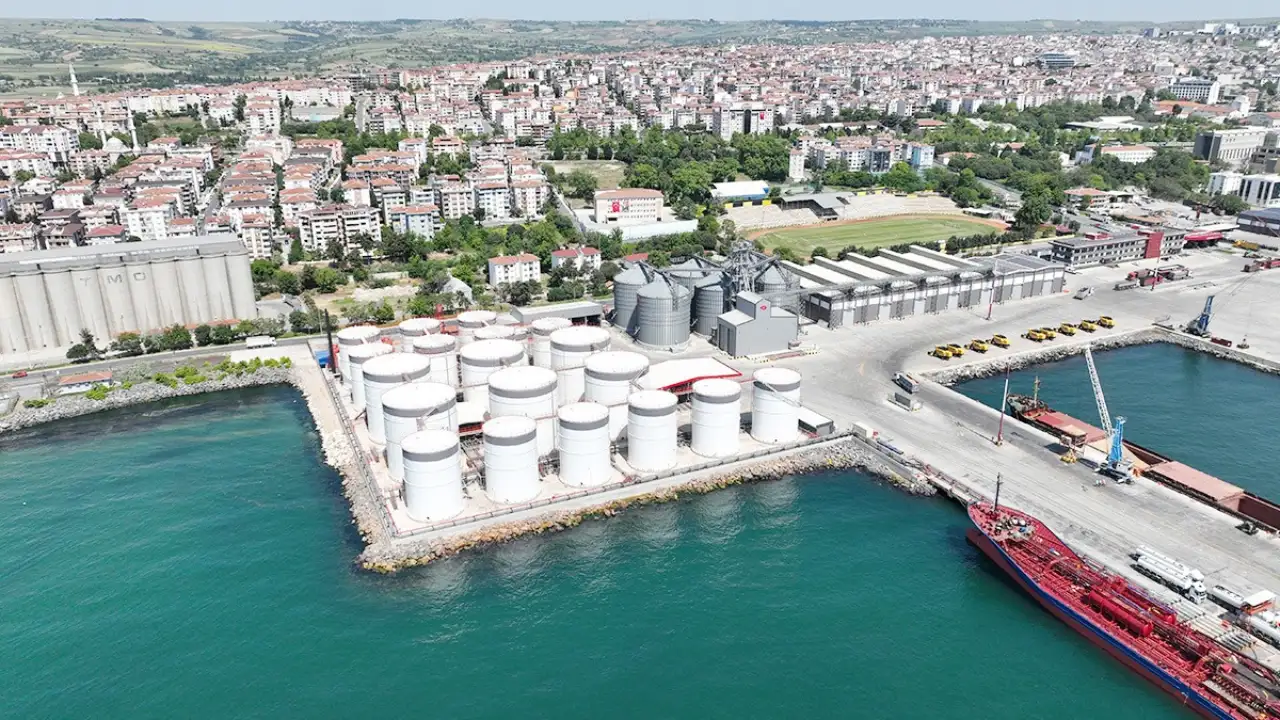 Mahkeme kararlarına uymayan Ceyport Limanı’nın ruhsatsız faaliyet gösterdiği belirlendi