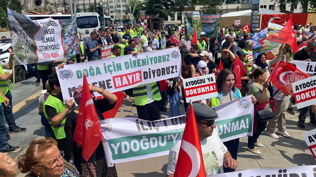 Tokat'ta yurttaşlar, kutsal ormanları için mücadeleyi sürdürüyor