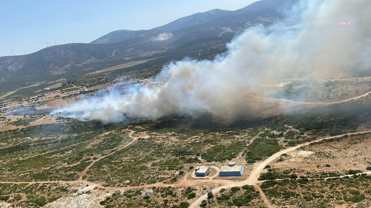 Didim’de makilik alanda yangın