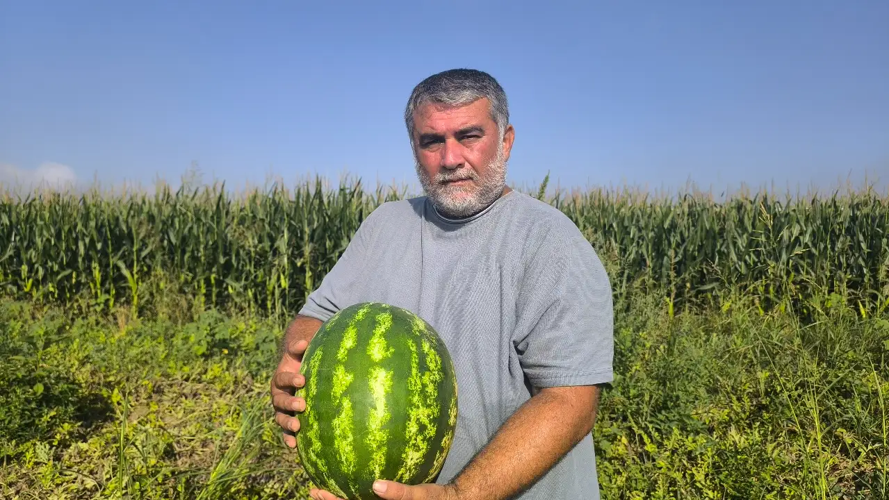 Yaklaşık 25 yıldır çiftçilik yapan vatandaş: Ürünüm tarlada kaldı