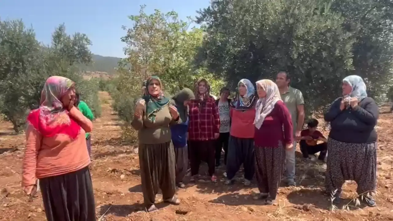 Gaziantep İslahiye’de zeytinlikler TOKİ tehdidi altında: Köylüler haklarını arıyor