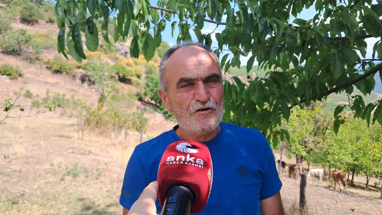 Ardanuçlu besici Bozkurt: Hayvancılığı bırakma noktasına geldik