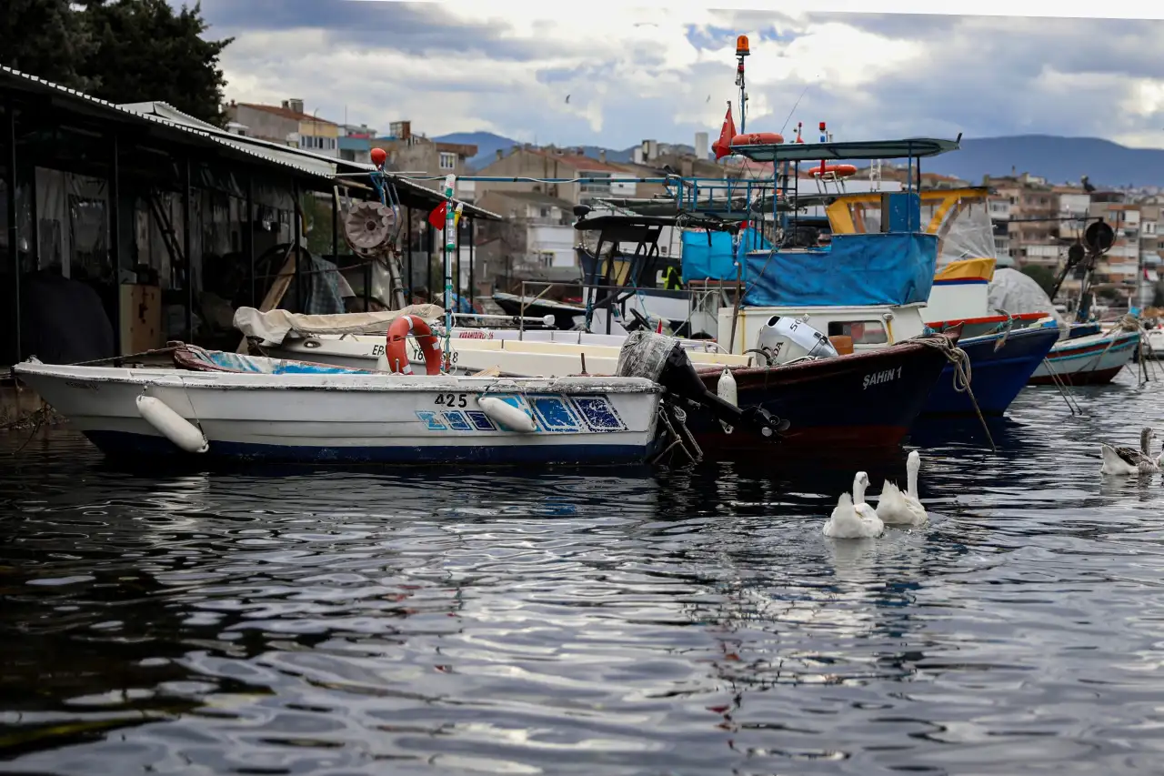 Bursa'da balıkçılara yüzde 100 hibeli mazot desteği: Balık sizden, mazot bizden