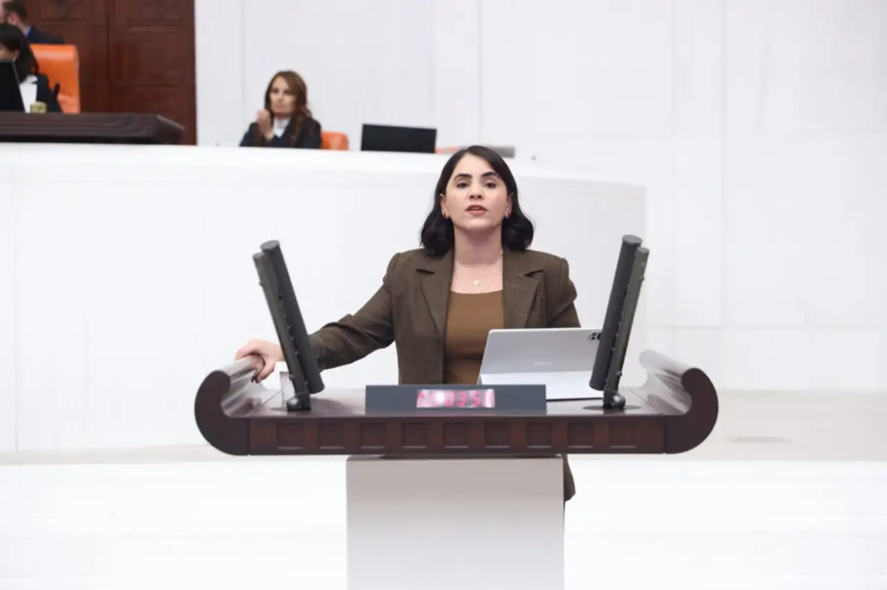 DEM Partili Aslan'dan "Cizre Bodrumları" için Meclis Araştırması talebi