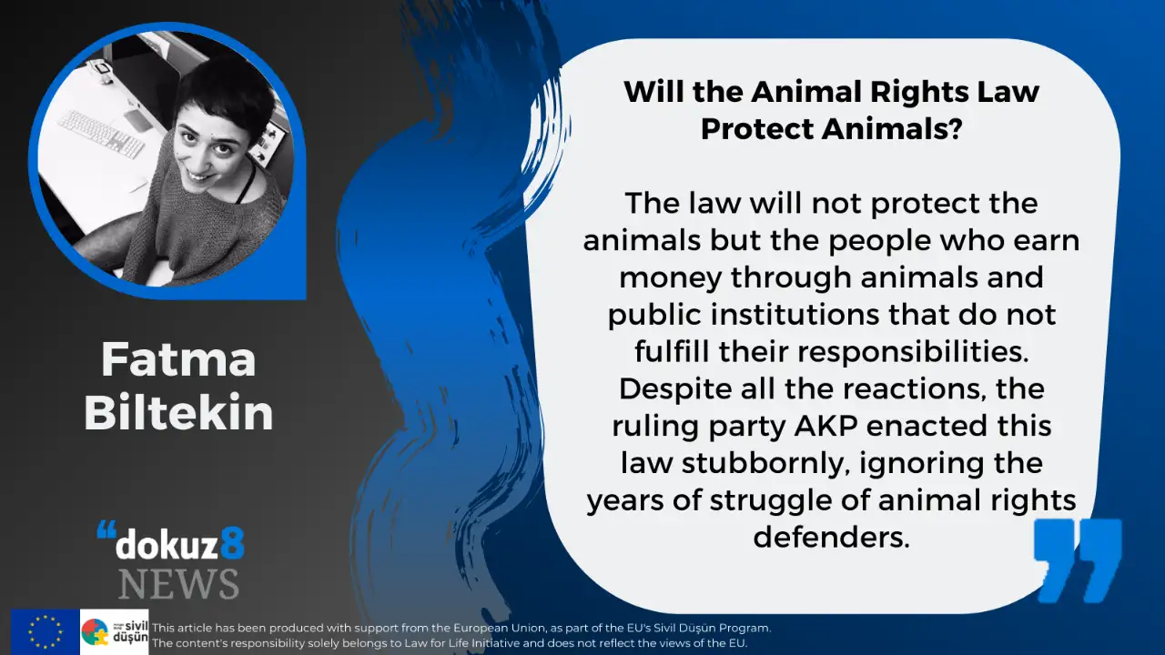 Will the Animal Rights Law Protect Animals?