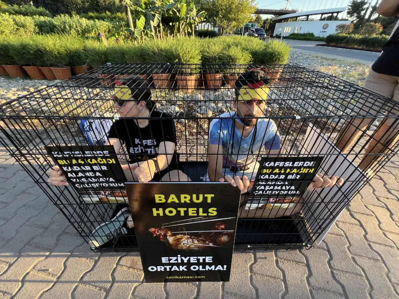 Kafessiz bir Türkiye için kafesli eylem