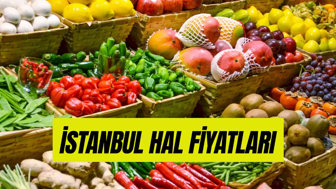 İstanbul Hal Fiyatları 2025: Güncel Anadolu ve Avrupa Yakası Hal Fiyat Listesi