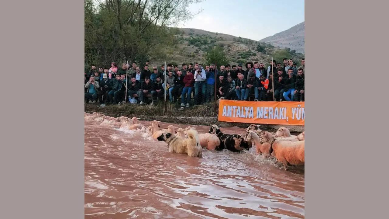“Yünüm Böğet” Burdur’un Hasan Paşa Köyü’nde kutlandı