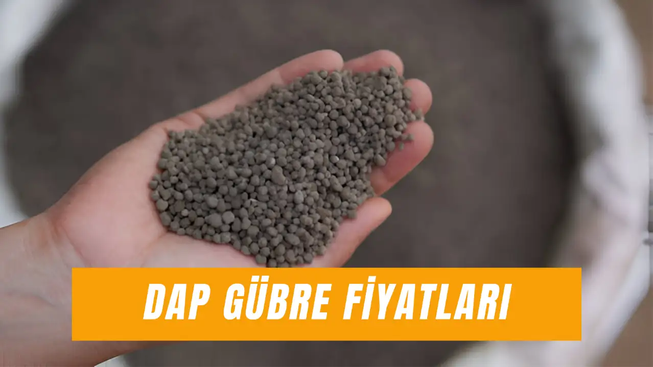 DAP Gübre Fiyatları 2025: Güncel Gübretaş, İgsaş, Toros Dap Fiyat Listesi!