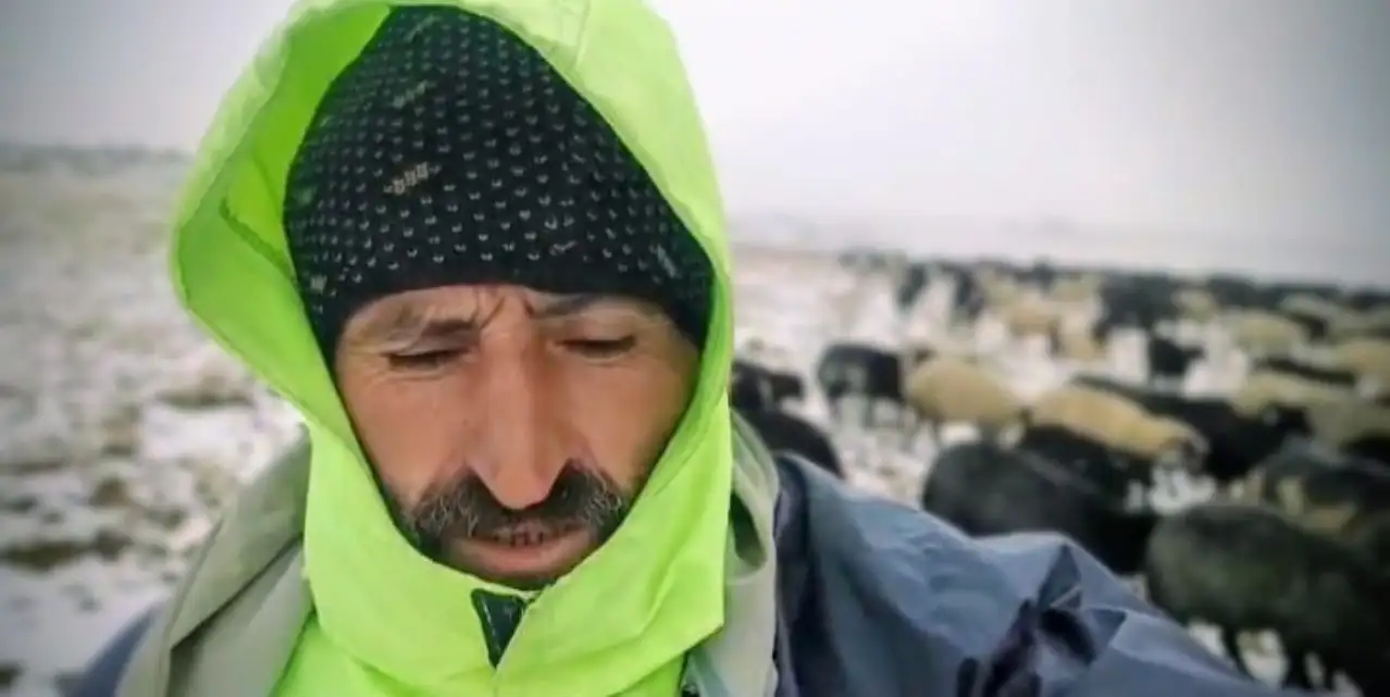 Hopa'da mevsimin ilk karı yağdı: Çobanlar yaylada mahsur kaldı
