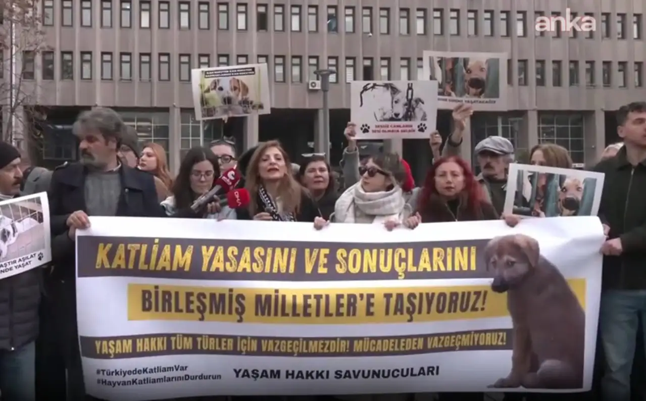 Hayvan hakları savunucusu avukatlardan Birleşmiş Milletler'e başvuru