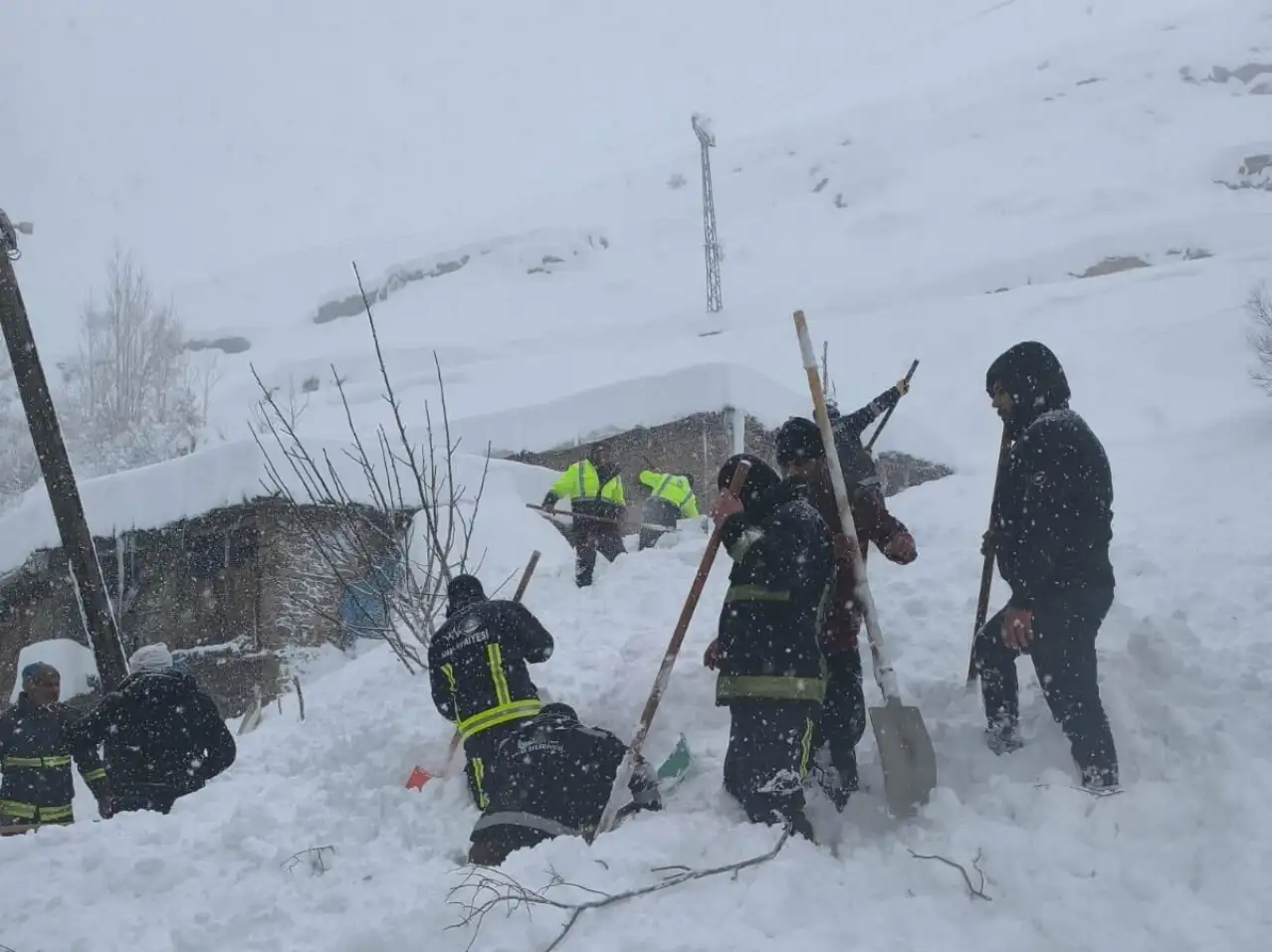 Van'ın Çatak ilçesinde çığ düştü: 61 yaşındaki kadın hayatını kaybetti