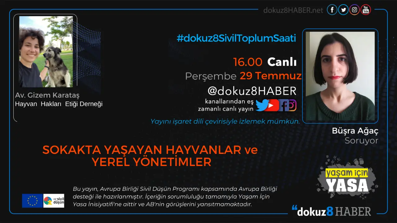 dokuz8SivilToplumSaati | Sokakta yaşayan hayvanlar ve yerel yönetimler