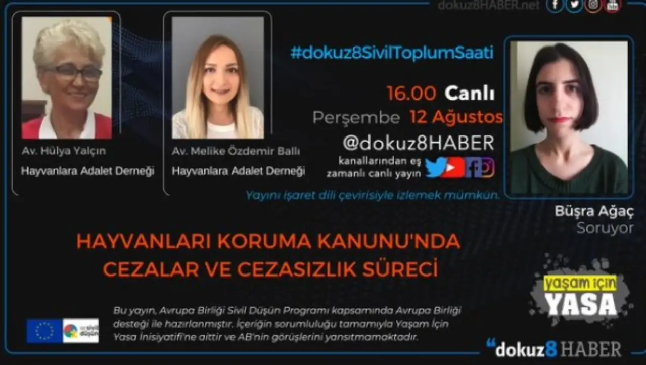 Hayvanları Koruma Kanunu'nda cezalar ve cezasızlık süreci