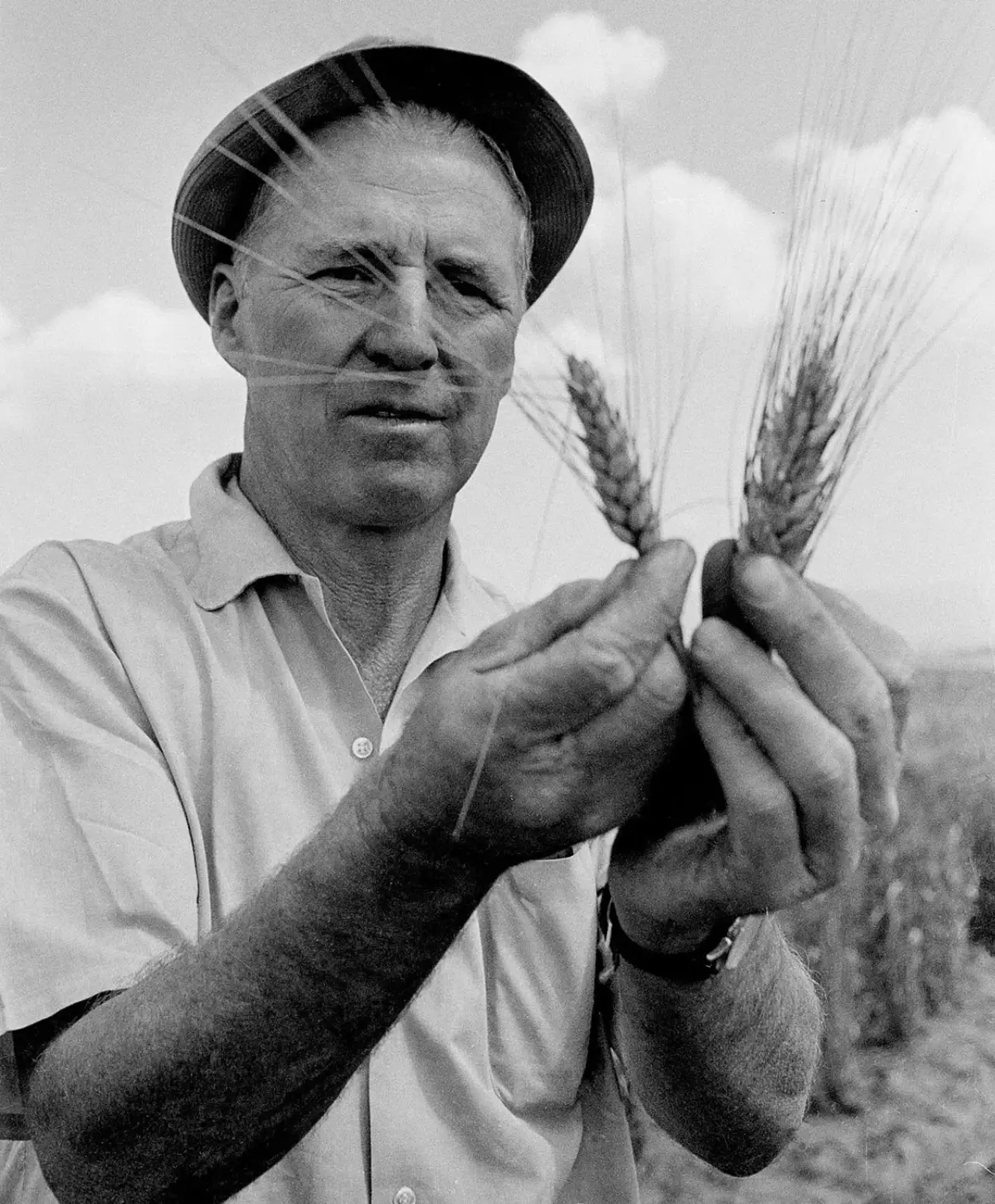 Norman Borlaug

Norman geliştirdiği yüksek verimli ve hastalığa dayanıklı buğdaylar ile açlıkla savaştaki en önemli adımlardan birini atan kişidir. Bu buğdayların Meksika, Pakistan ve Hindistan'a dağıtılması ile yaklaşık 1 milyar insanın açlıktan kurtulduğu söyleniyor! Norman'ın bu buluşu, bugün Yeşil Devrim olarak anılıyor.