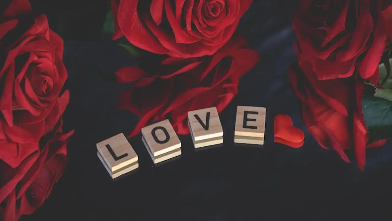 2. St. Valentine’ın kim olduğu bilinmiyor: Katolik dünyasındaki bazı anlatılara göre Sevgililer Günü (St. Valentine’s Day) milattan sonra 270 yılında, dönemin Roma imparatoru tarafından öldürülen Valentine isimli bir rahip ve doktorun onuruna kutlanıyor. Ancak başka tarihi referanslar, tarihteki farklı Valentine isimli kişilere göndermede bulunuyor. Kısacası St. Valentine’ın kim olduğu hakkında kesin bir bilgi bulunmuyor.