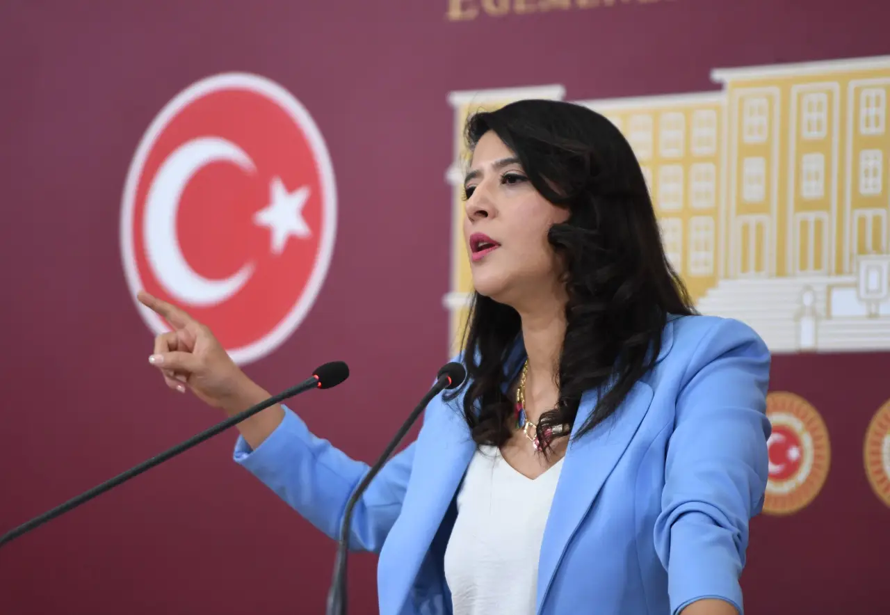 EMEP'li Karaca, LGBTİ bireylere cezaevinde kötü muamele iddiasını TBMM'ye taşıdı