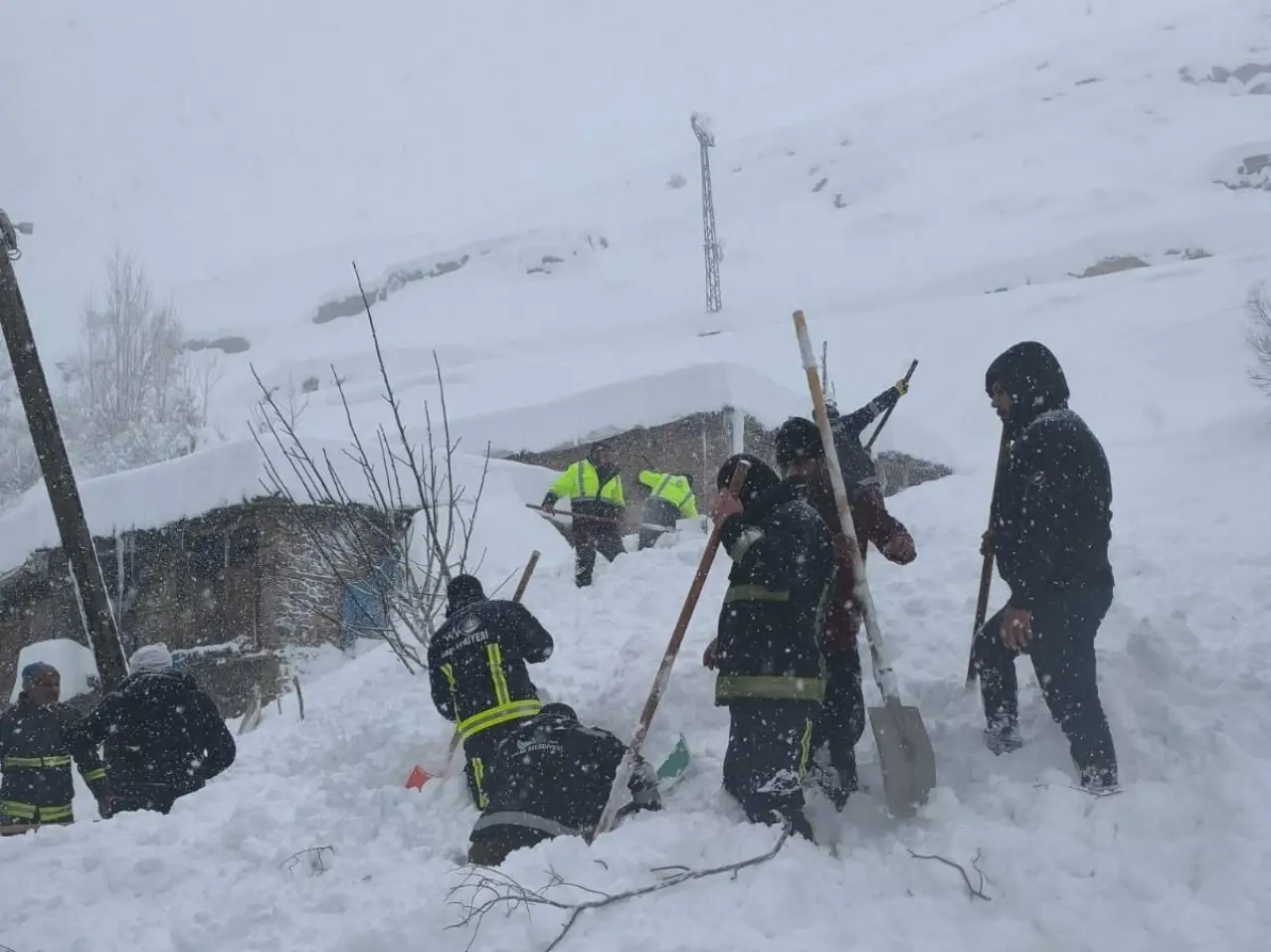 Van'ın Çatak ilçesinde çığ düştü: 61 yaşındaki kadın hayatını kaybetti