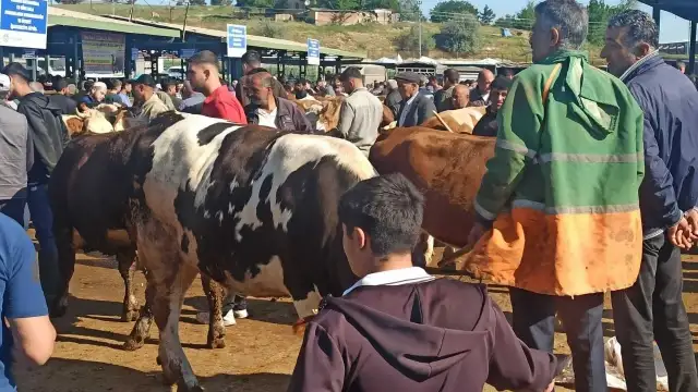 Malatya kurban pazarında pazarlık çok satış yok