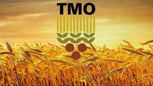 TMO, buğday ve arpa ürünlerinin teslim alınmasına başlayacak