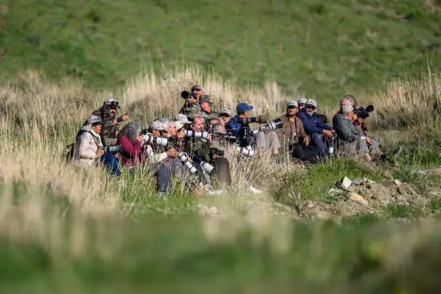 TRAKUŞ, Van'ın Erciş ilçesinde kuş gözlem kampı düzenledi
