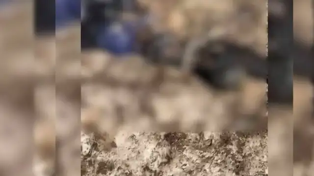 Şemdinli kırsalında siyah poşet içerisinde ceset bulundu