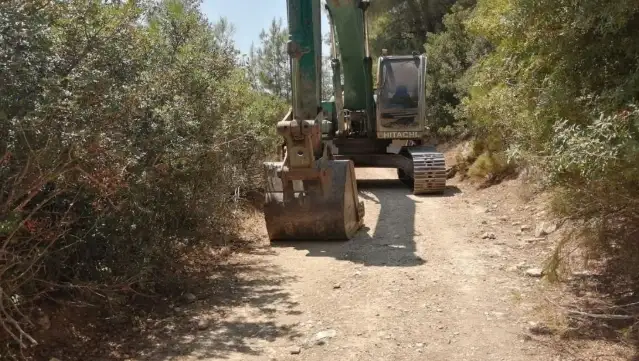 Akbelen Ormanı'nda ağaç kesimi