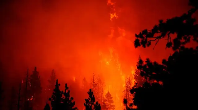 WMO: İklim değişikliğinin, orman yangınları ve hava kirliliği üzerinde büyük etkileri var