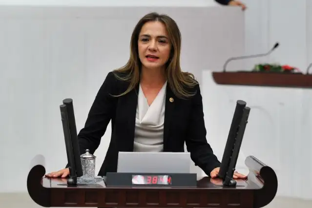 Gamze Akkuş İlgezdi: Dava açılmayan cinsel istismar dosyaları endişelerimizi artırıyor