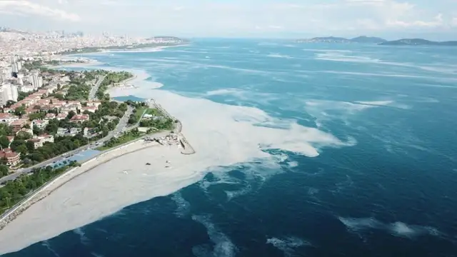 Karadeniz'de azalan yağışlar Marmara'da müsilaj riskini artırabilir
