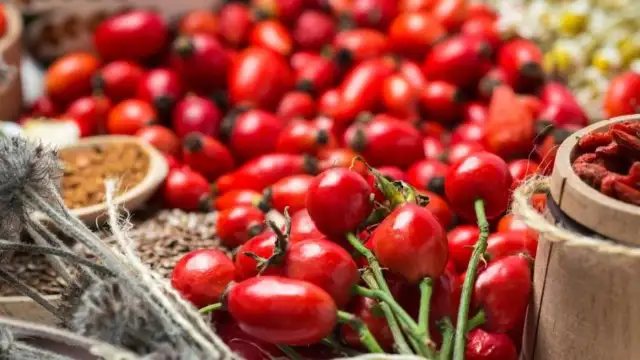 Kuşburnu faydaları nelerdir? Nelere iyi gelir?