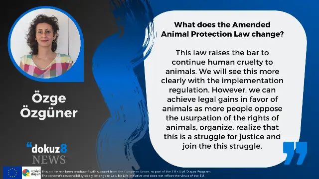 What does the Amended Animal Protection Law change?