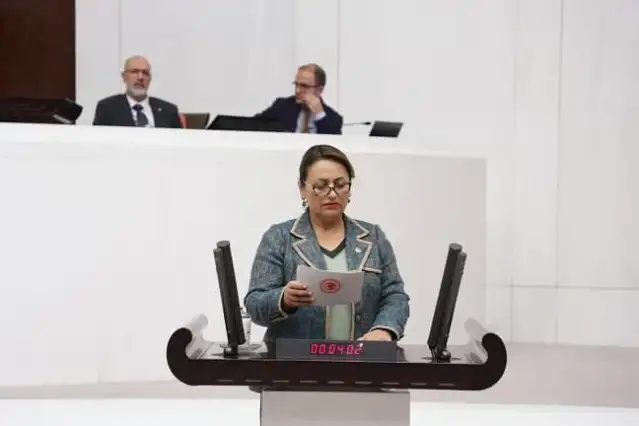CHP'li Şevkin: “Sağlık yılı ilan ettiler, tek bir sağlıkçıyı atamadılar”