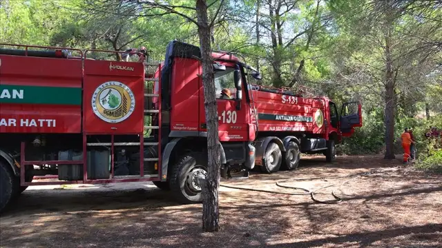 Manavgat'ta çıkan orman yangınları söndürüldü