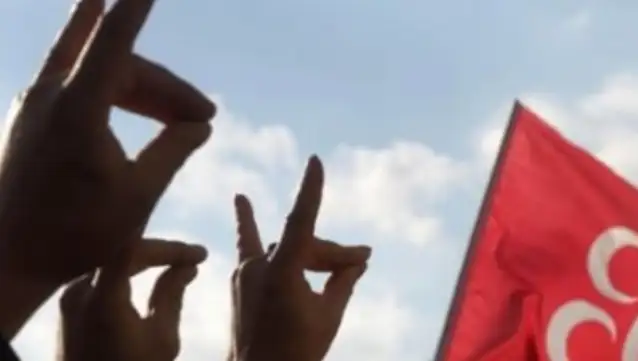 Almanya'da 'Ülkücü Hareket' raporu: Anayasa'ya aykırı