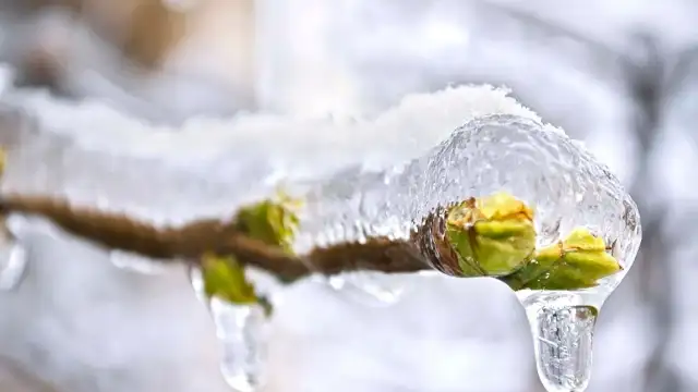 Meteorolojiden zirai don uyarısı