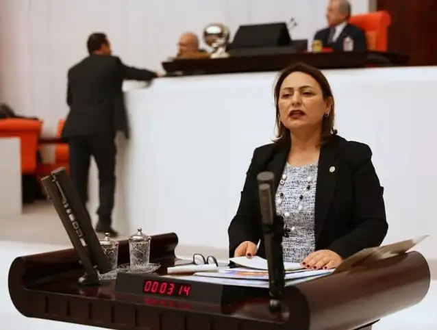 CHP’li Şevkin: Türkiye’de 36 milyonu ruhsatsız 40 milyona yakın silah var, sorun acilen masaya yatırılmalı