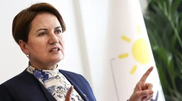 Meral Akşener Biyografisi, Meral Akşener Kimdir ?