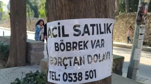 Türkiye'de yoksulluğun geldiği nokta: 'Sahibinden satılık böbrek' ilanları