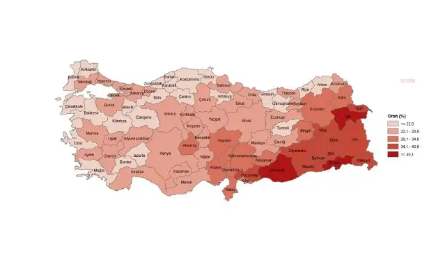 Türkiye nüfusunun yüzde 26,9'u çocuklardan oluşuyor