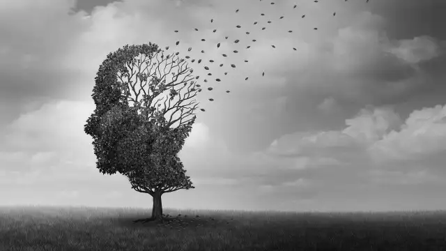 Dünya Sağlık Örgütü: Alzheimer hastası sayısı 30 yıl içinde 3 katına çıkacak
