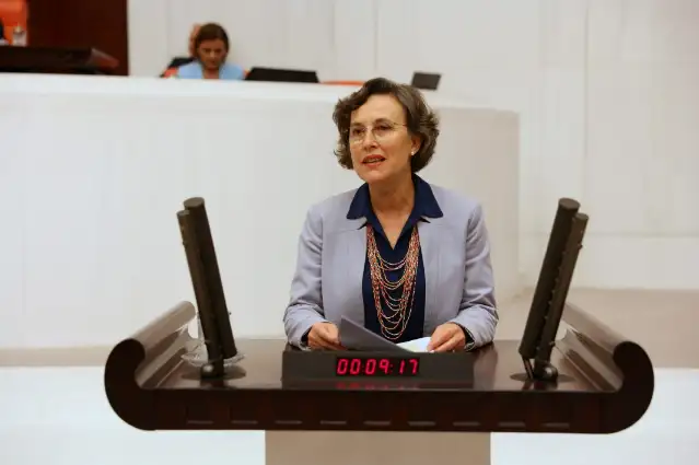 HDP’den gazeteci Aygül’e ilişkin soru önergesi