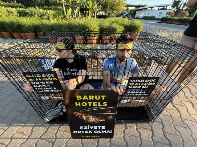 Kafessiz bir Türkiye için kafesli eylem