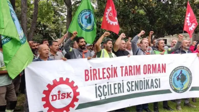 İBB Ağaç A.Ş. işçileri yeniden eylemde!