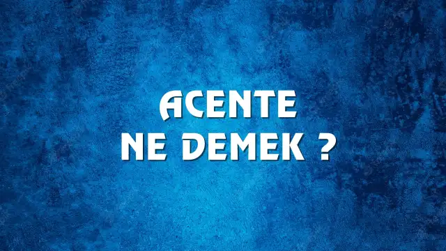 Acente Ne Demek, Ne Anlama Gelir? Acente Kelimesi TDK Sözlük Anlamı Nedir?